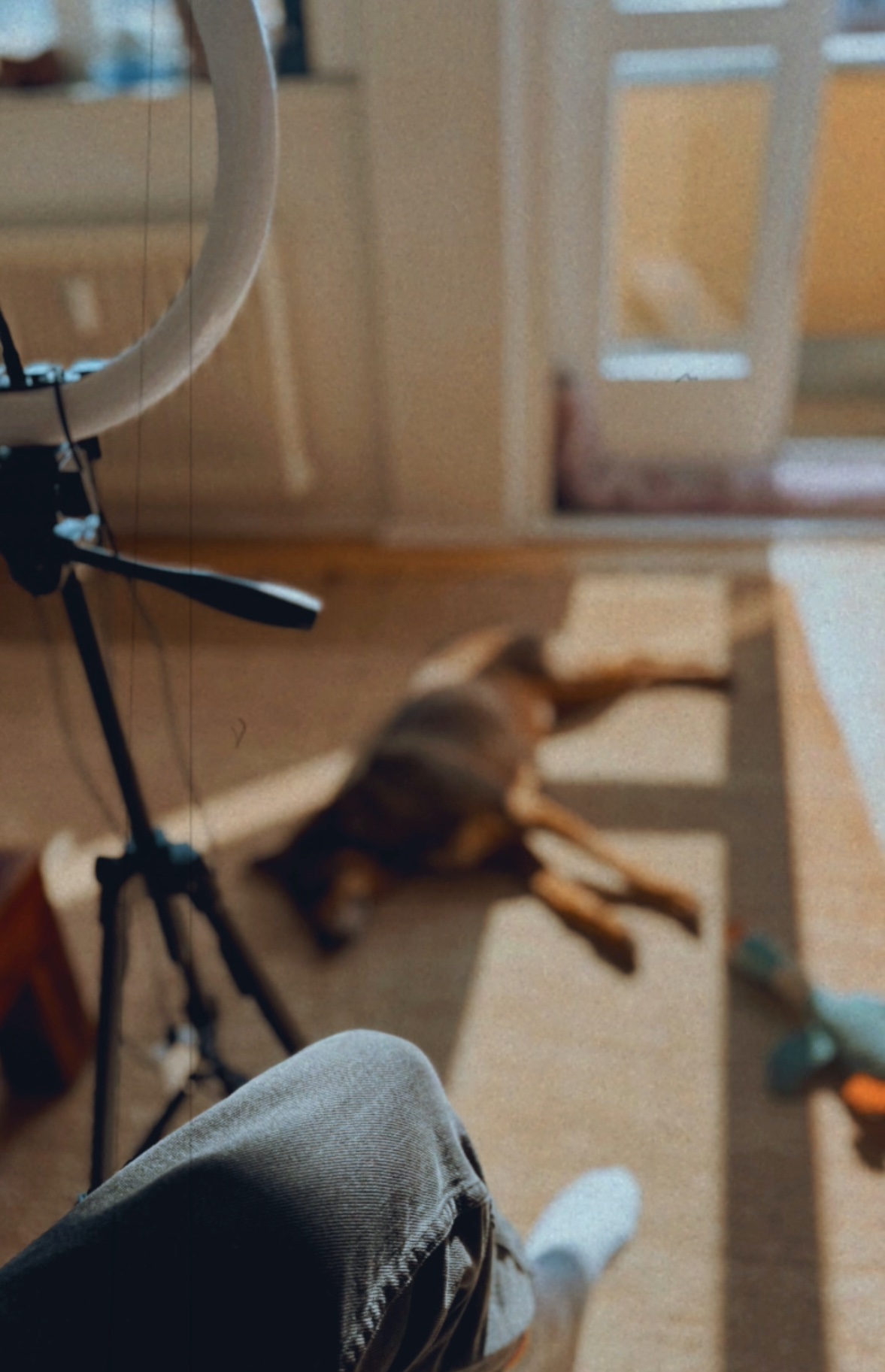 behindthescenes